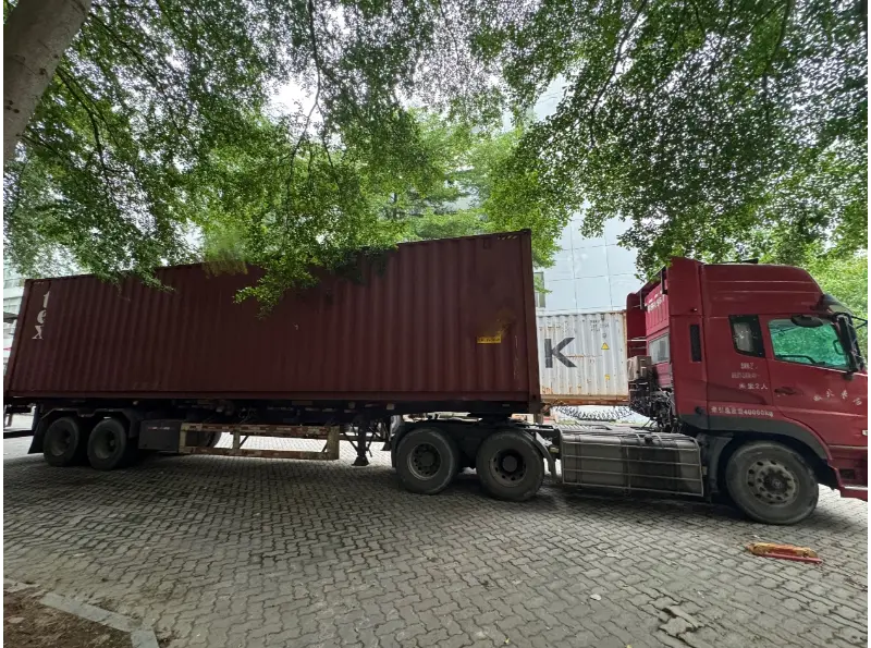 Hộp đóng gói Goggle không chứa nhựa: Dẫn đầu xu hướng đóng gói bền vững năm 2026