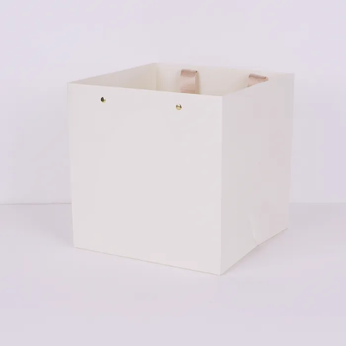 Túi giấy sang trọng